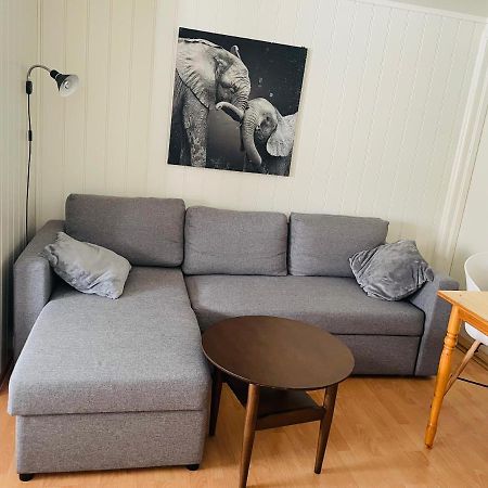 Aurora Apartment Very Close To Fjellheisen 特罗姆瑟 外观 照片