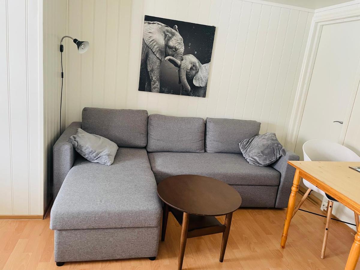 Aurora Apartment Very Close To Fjellheisen 特罗姆瑟 外观 照片